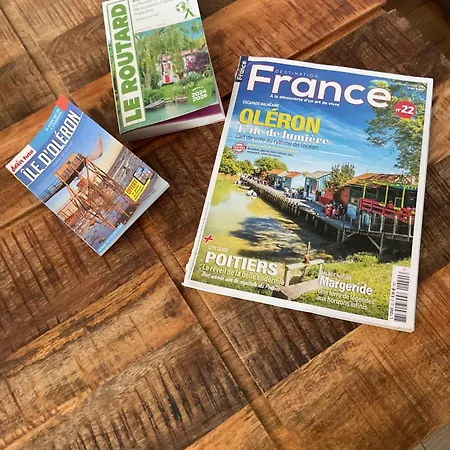 Charmante Maison 1900 Classée 3 étoiles Avec Terrasse Vue Sur Les Toits